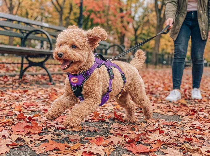 Tuff Pupper Escape Proof No Escape Dog Harness | 5 Point Adjustable Fit Harness for Dogs | Padded Dog Harnesses | Handle Dog Lift Harnesses