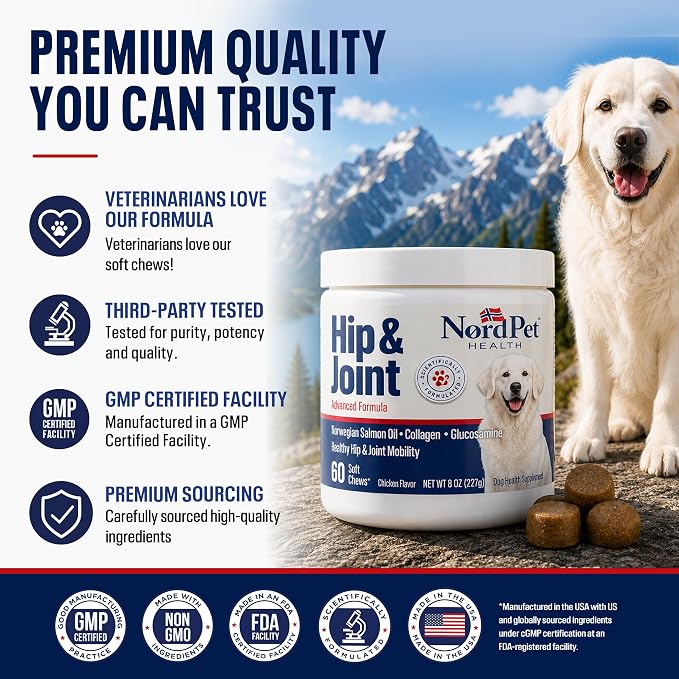 Hip & Joint Supplement for Dogs | Norwegian Salmon Oil, Glucosamine, Chondroitin, MSM, Green Lipped Mussel, Collagen | Mobility Soft Chews for Small, Medium & Large Dogs, 60 Count