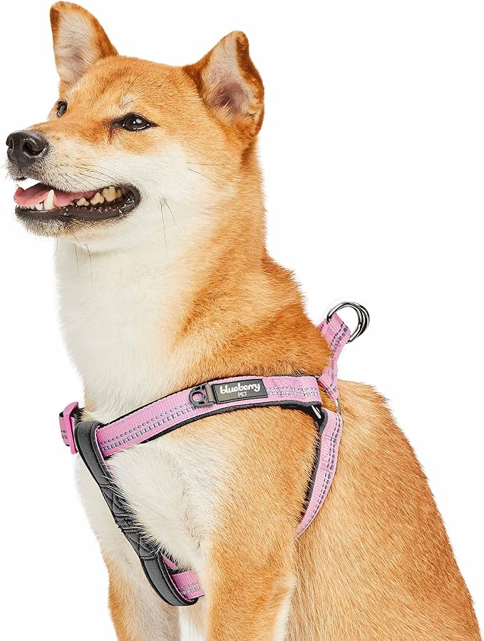 Blueberry Pet Soft & Comfy 3M Reflective Step-in Pastel Color Padded Dog Harness, Chest Girth 19.5" - 25.5", Baby Pink, Medium, Adjustable Harnesses for Dogs