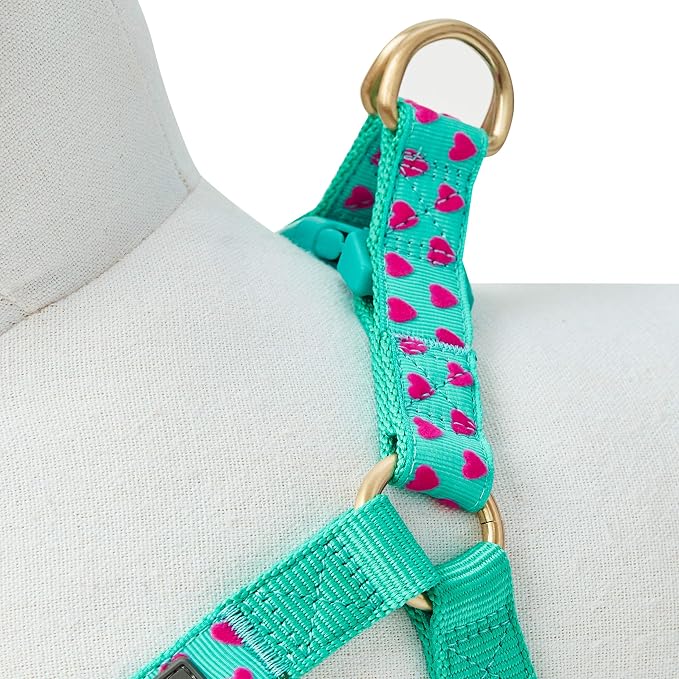 Blueberry Pet Step-in Dog Harness Velvety Heart Flocking Valentine’s Day Adjustable Harnesses for Medium Dogs, Mint Green, Chest Girth 20" - 26"