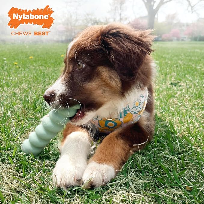 Nylabone Puppy Chew Sensory Material Grooved Stick Dog Chew Toy, Small | Peanut butter flavor, soothing teething toys for puppies, teething relief, freeze for extra comfort, up to 25 lbs