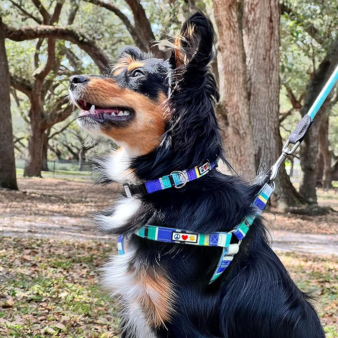 Pawtitas Multicolor Step-in Dog Harness – Adjustable No-Pull Vest for Puppies to Seniors, Safe & Comfortable XS Blue/Teal/Yellow