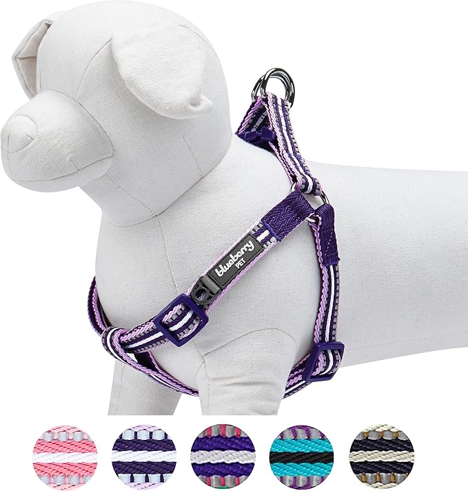 Blueberry Pet 5 Colors Step-in 3M Reflective Multi-Colored Stripe Padded Dog Harness, Chest Girth 20" - 26", Orchid & Lavender, Medium, Adjustable Harnesses for Dogs