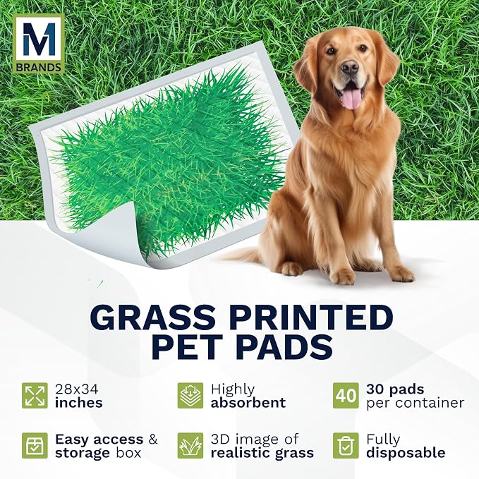 Big Dawg Pet Supplies Absorbent Puppy Pee Pads for Dogs & Cats – XL 28x34in Disposable Pet Pads – Handy Grab-n-Go Box – Potty Training & Housebreaking Supplies – Color, Grass – 30pc