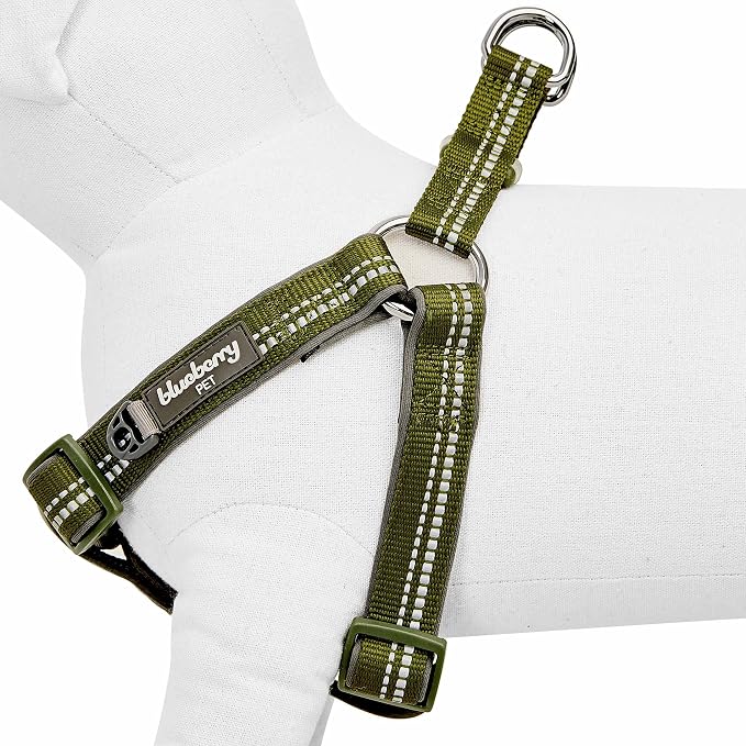 Blueberry Pet Soft & Comfy 3M Reflective Step-in Pastel Color Padded Dog Harness, Chest Girth 16.5" - 21.5", Olive Green, Small, Adjustable Harnesses for Dogs