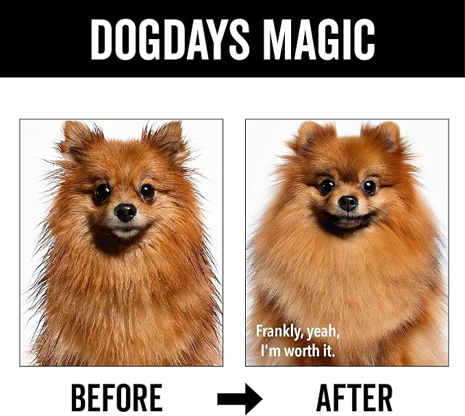 Pride and Groom DogDays Nourishing Dog Conditioner | Tearless, Hypoallergenic Formula for Allergies, Itching & Dry Skin | Natural Detangler for Dogs | Extends Life of Dog Groom | 16 oz