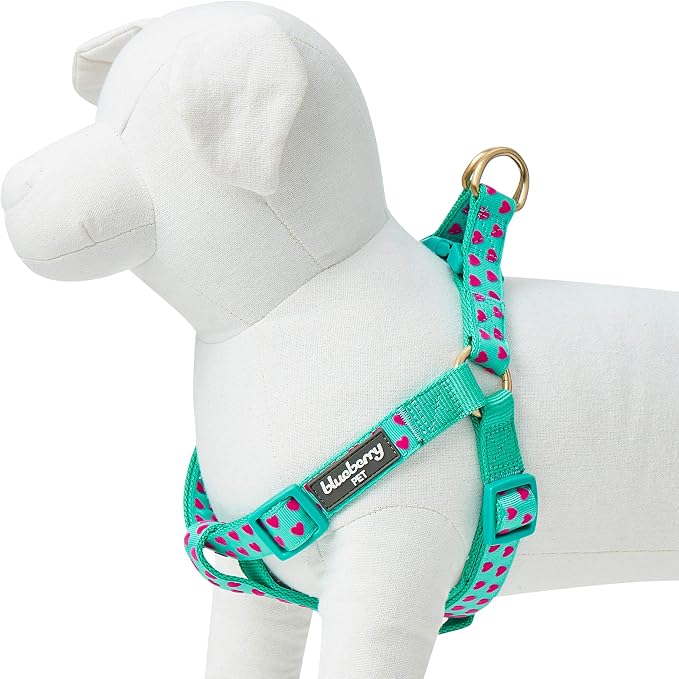 Blueberry Pet Step-in Dog Harness Velvety Heart Flocking Valentine’s Day Adjustable Harnesses for Medium Dogs, Mint Green, Chest Girth 20" - 26"