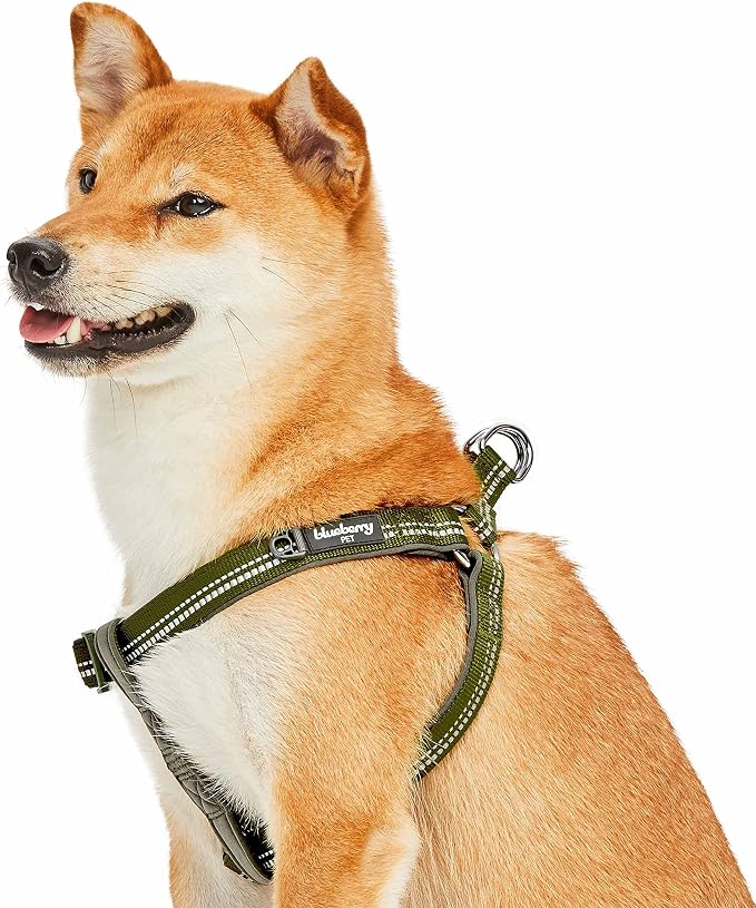 Blueberry Pet Soft & Comfy 3M Reflective Step-in Pastel Color Padded Dog Harness, Chest Girth 16.5" - 21.5", Olive Green, Small, Adjustable Harnesses for Dogs