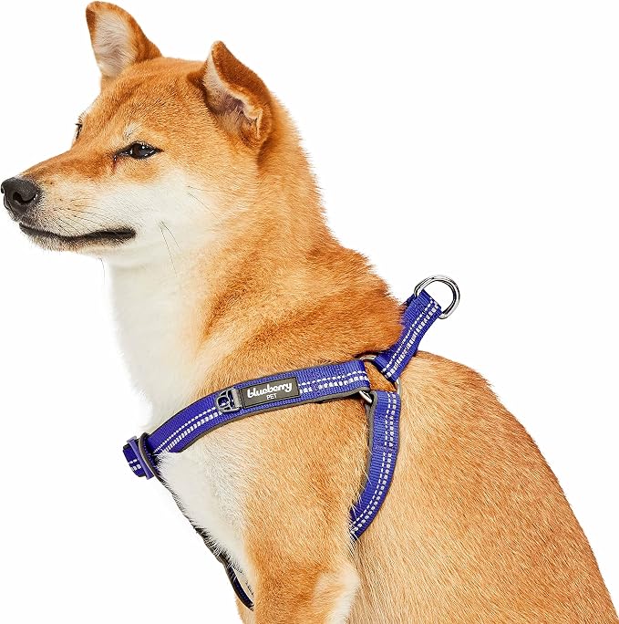 Blueberry Pet Soft & Comfy 3M Reflective Step-in Pastel Color Padded Dog Harness, Chest Girth 20" - 26", Violet, Medium, Adjustable Harnesses for Dogs