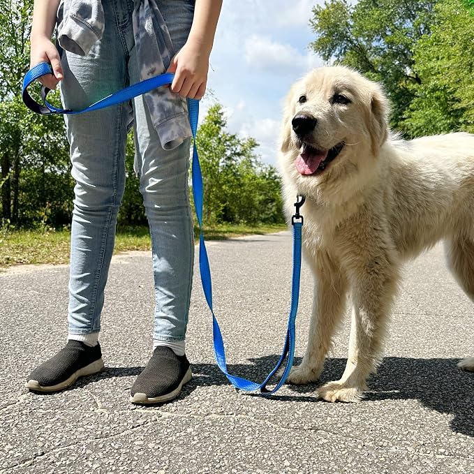 Joytale Dog Leash for Large Dogs that Pull, Double Handle, 5FT, Royal Blue | Traffic Handle for Control, Padded Handle Reduces Hand Strain, Reflective Stitching for Night Safety, Strong Nylon Webbing
