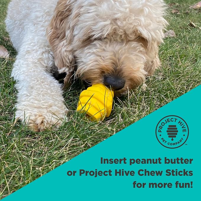 Hive Chew Toy for S/M Dogs – Yellow/Unscented – Chew, Fetch, & Treat-Dispensing Enrichment Toy, Floats, Made in USA, Pairs with Hive Chew Sticks for S/M Dogs for Longer-Lasting Play
