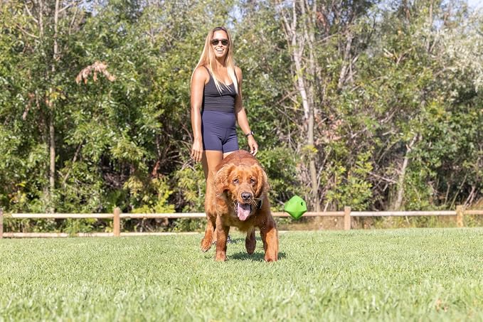 Chuckit! Erratic Ball Dog Toy, Small 2in, 2 Pack, Unpredictable Bounce | Unpredictable Bounces, Great for Puppies
