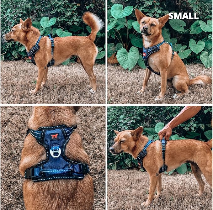Tuff Pupper No Pull Easy Walk Dog Harness | Heavy Duty Pet Vest | Front & Back Leash Clips | Strong Safety Handle | Reflective Anti Pull Vest | Comfortable Padded Escape Proof Harness (Small, Blue)