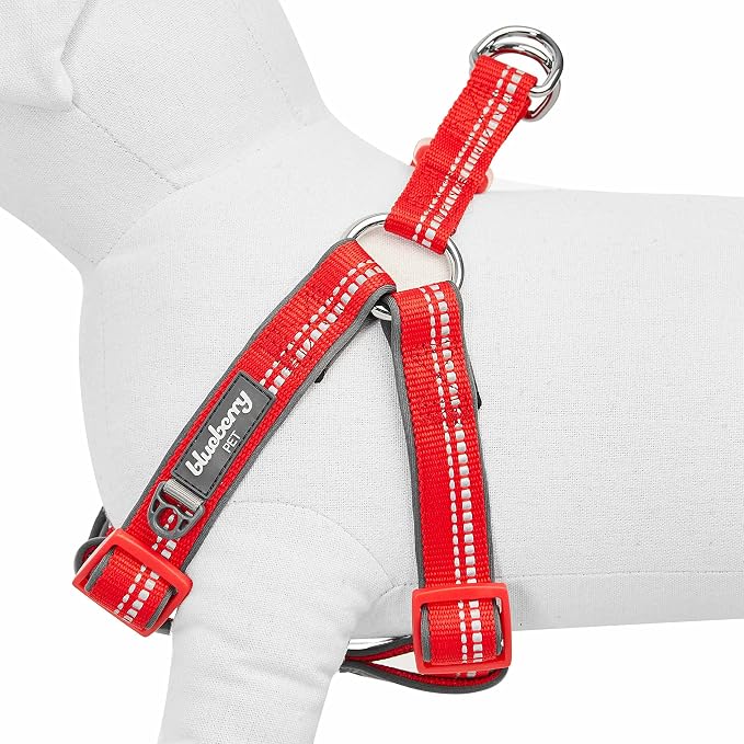 Blueberry Pet Soft & Comfy 3M Reflective Step-in Pastel Color Padded Dog Harness, Chest Girth 16.5" - 21.5", Red, Small, Adjustable Harnesses for Dogs