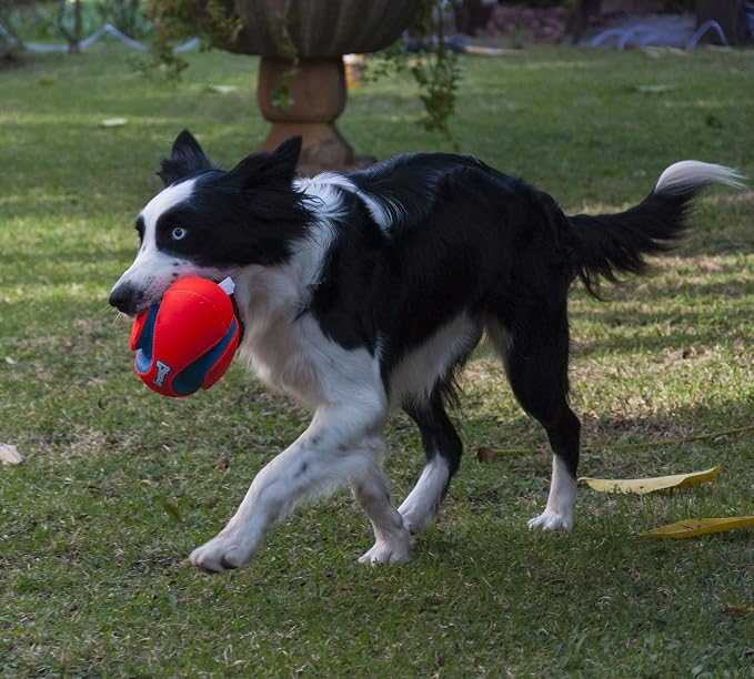 Chuckit! Fumble Fetch Dog Football - Outdoor and Indoor Interactive Dog Toy with Grooved Design for Easy Pickup - Made from Durable Rubber - Floats in Water - Small - Orange and Blue (Pack of 6)