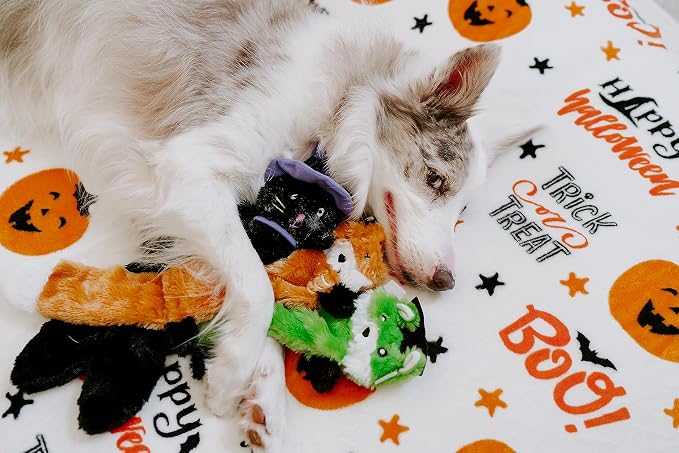 ZippyPaws Halloween Skinny Peltz-Zombie Fox,Franken-Weasel,&Witch Cat No Stuffing Squeaky Dog Toys,Flat Unstuffed Puppy Toy for Small & Medium Breeds,Multi-Pack of 3,18'',Orange,Green,PurpleZP1610)