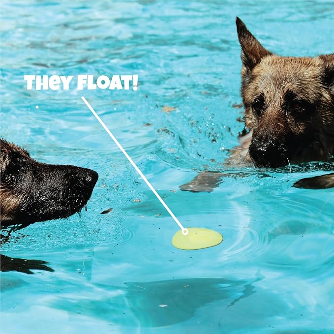 Skip NN' Fetch Large Floating Dog Toys Qty 2 | Stone Skipping Meets Fetch | Fun for Swimming Pool, Lake, Beach, and Land | Perfect Floating Water Toys for Large Dogs