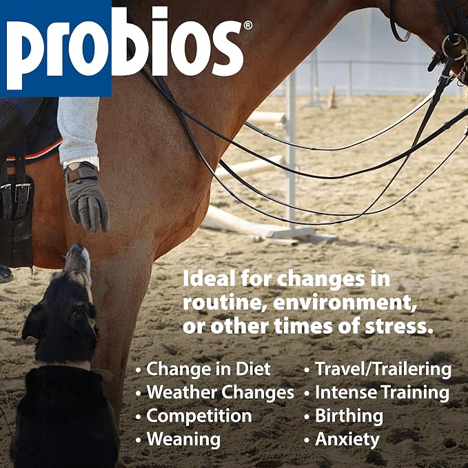 Probios Digestive Support Powder for Pets, 5 lb