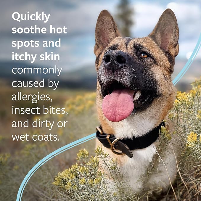 Veterinary Formula Clinical Care Hot Spot & Itch Relief Pet Shampoo, 16 oz | Medicated formula helps alleviate sensitive skin, scratching and excessive licking of the coat