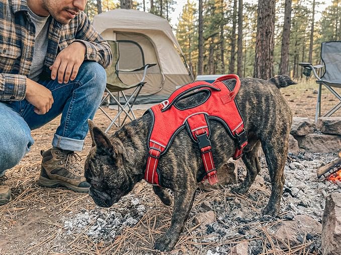 Tuff Pupper Tracker No Escape Dog Harness, Dual Attachment Points, Reflective 3M Stitching, XS - XL, March Red