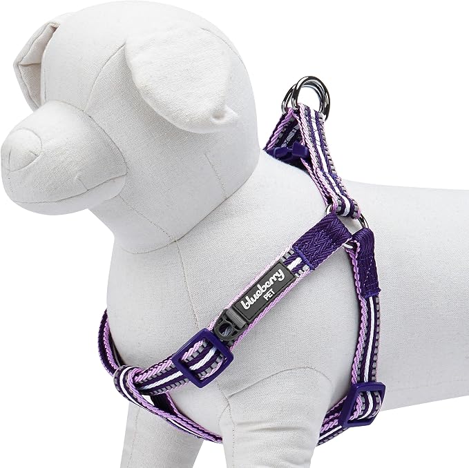 Blueberry Pet 5 Colors Step-in 3M Reflective Multi-Colored Stripe Padded Dog Harness, Chest Girth 26" - 39", Orchid & Lavender, Large, Adjustable Harnesses for Dogs