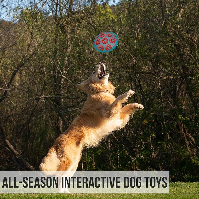 Hyper Pet Flippy Flopper Flying Disc Soft Dog Toy, 9 Inches, Donut Design | Safe on teeth for all breeds, stays on the water surface for pool and lake fetch games, keeps pups leaping and chasing daily