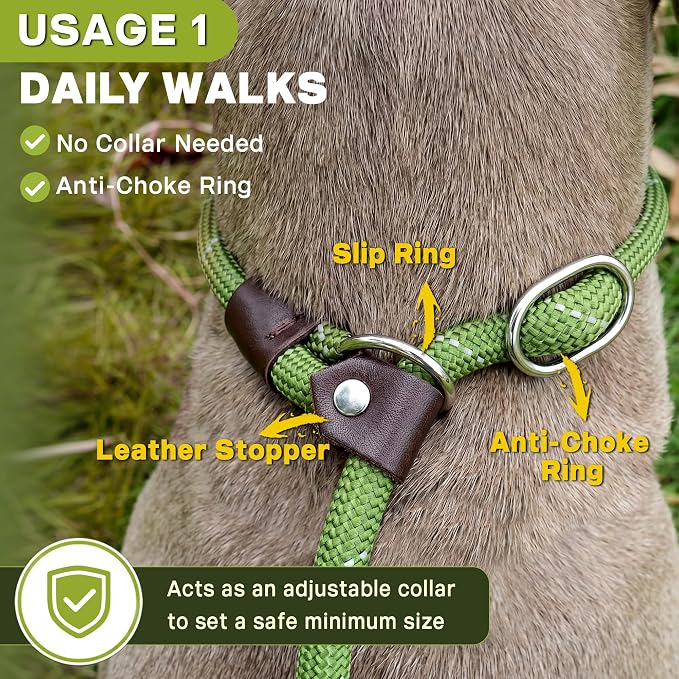 Fida Durable Slip Lead Dog Leash, 6 FT x 3/8" Heavy Duty Comfortable Strong Rope Slip Lead for Small Dogs and Puppies, No Pull Pet Training Leash with Highly Reflective(3/8", Green)