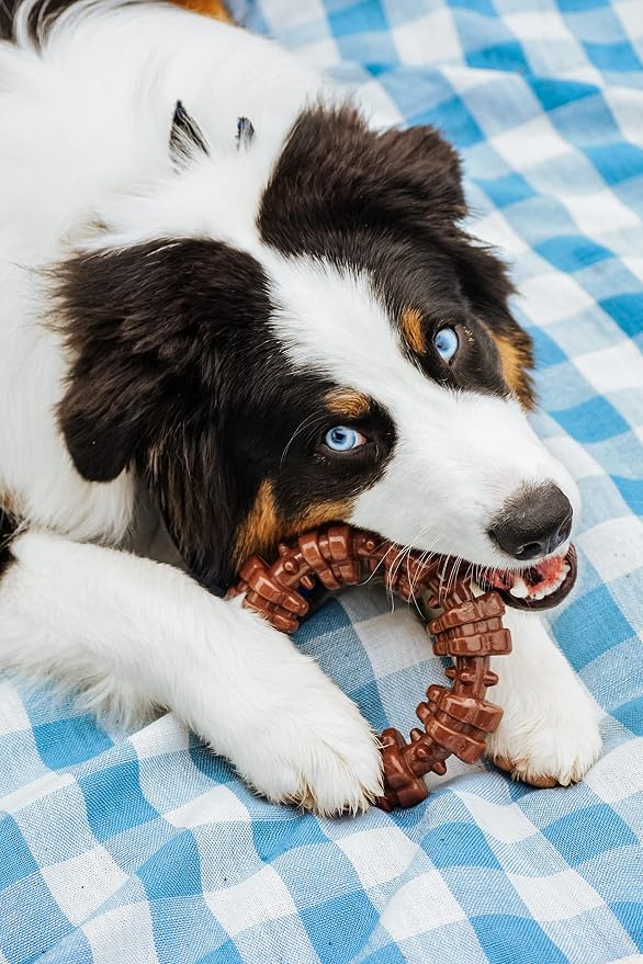 Nylabone Textured Ring Power Chew Toy for X-Large Dogs 50+ lbs | Durable dog toys for aggressive chewers, strong dog chew bones, flavor medley, textures help clean teeth