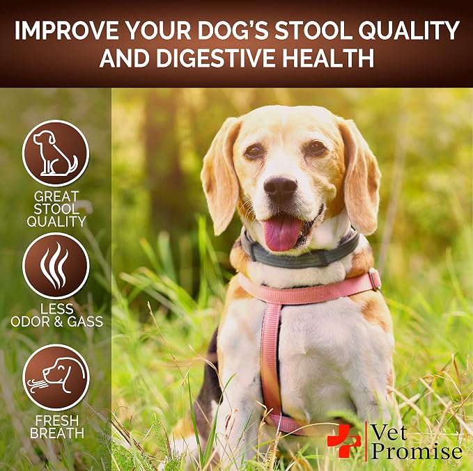 Super Poop Probiotics for Dogs Chews - Dog Stool Softener - Made in USA