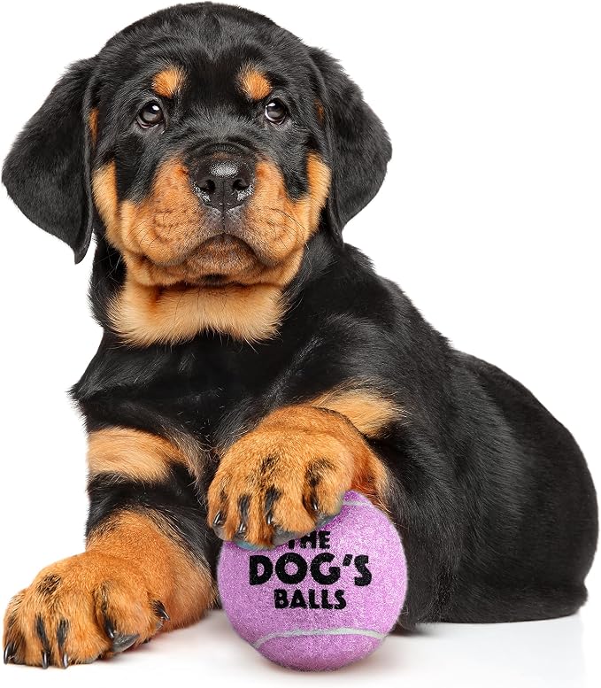 The Little Dog’s Balls Small Dog Tennis Balls 6-Pack Purple Floats in Water | Our fetch balls combine non-abrasive felt exterior and a thicker rubber core Durable Dog Toy for Outdoor Play & Training