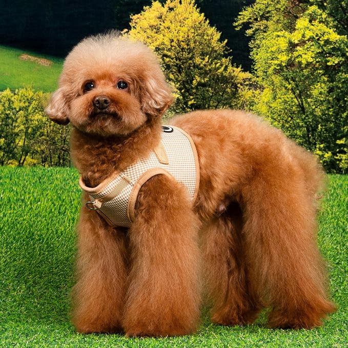 Puppia Amatus Dog Vest Harness B (Step-in) Fashionable Houndstooth Pattern Spring Summer Harness for Small and Medium Dogs, Beige, Medium