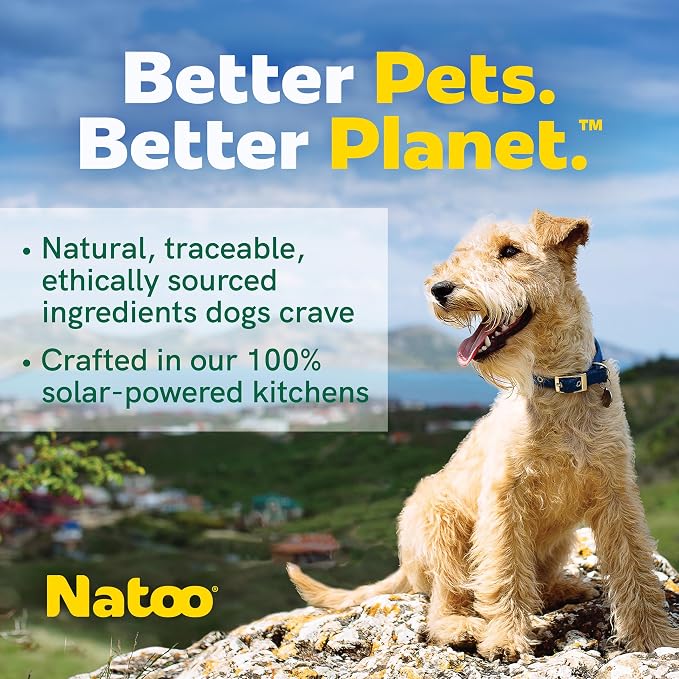 NATOO Dog Food Topper for Picky Eaters & Dog Treat (Chicken with Sweet Potato & Broccoli), Dog Toppers for Dry Food, Wet Meal Toppers for Dogs & Puppies, Limited Ingredient Dog Food, 3 oz (Case of 20)