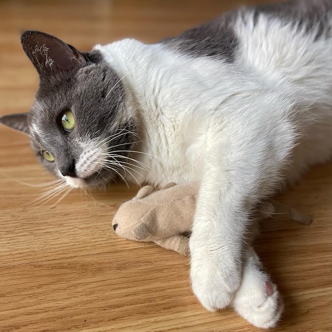 SPOT Flat Mouse Frankie with Catnip - Cat Toy, Fuzzy Mice with Catnip and Crinkle Sound, Perfect Size for Pouncing on, Chasing, Hunting - 5.5in Plush Toys, Assorted Colors (Pack of 2)