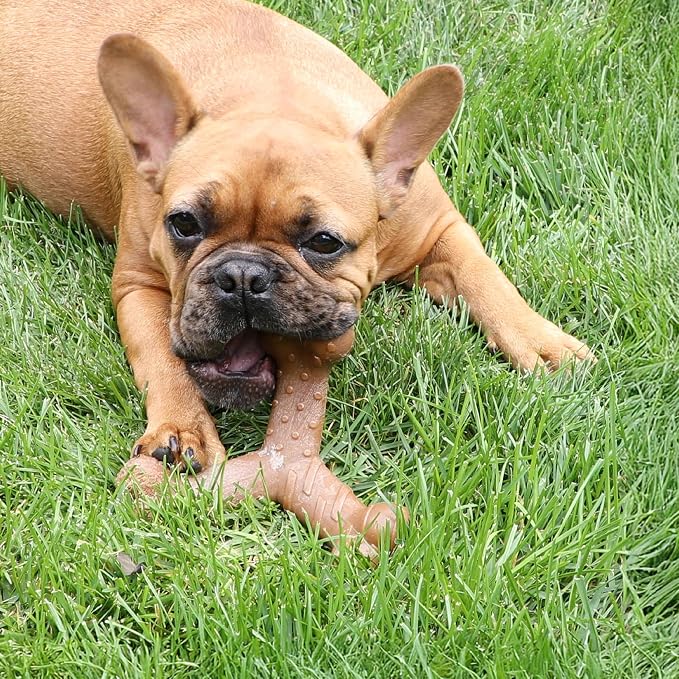 Chew King by Mammoth Dog Bacon Lovin’ Wishbone, Nylon Bones, Textured Bacon Flavored Chew Toy, for All Breed Sizes