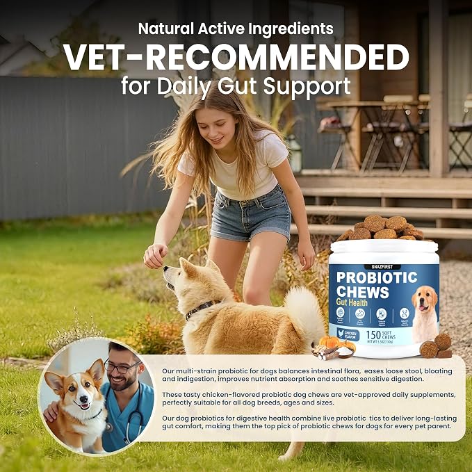 Probiotics for Dogs, Dog Probiotics Chews for Digestive Health &Gut Health