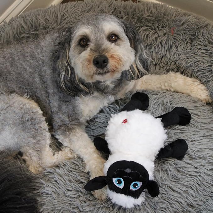 SPOT Baa Baa Black Sheep Plush Dog Toy - Cute and Cuddly Fleece Toy with Squeaker for Medium to Large Dogs and Puppies, 13in Black and White Lamb