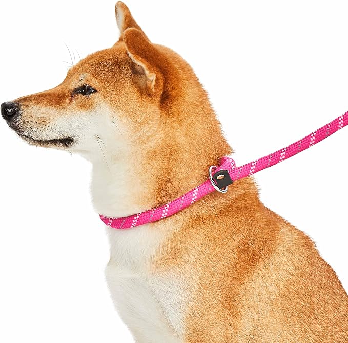Blueberry Pet Durable Diagonal Striped Collar Leash Training Set with Comfy Neoprene Handle, Pink-Tone, 6 ft, Strong Training Leashes for Dogs