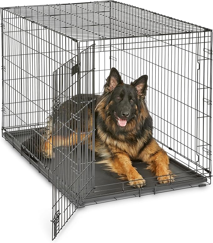 MidWest Homes for Pets 48-Inch iCrate for Extra-Large Breeds, 90-110 lbs, Single Door Folding Dog Crate with Divider Panel, Leak-Proof Tray & Secure Latches, Portable, Durable & Easy to Assemble