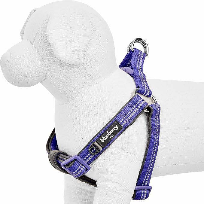 Blueberry Pet Soft & Comfy 3M Reflective Step-in Pastel Color Padded Dog Harness, Chest Girth 16.5" - 21.5", Violet, Small, Adjustable Harnesses for Dogs