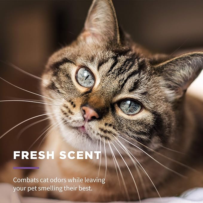 Wet Ones for Cats Freshening Multi-Purpose Grooming Wipes with Aloe Vera, 50 Count