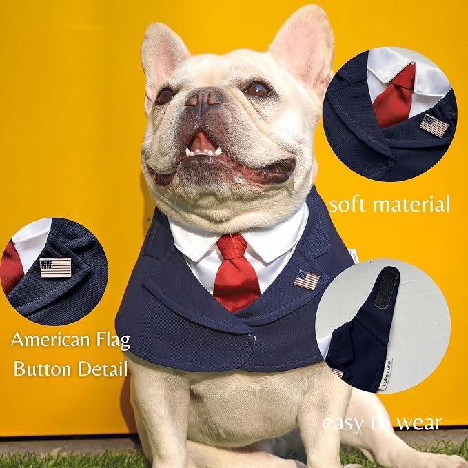 Premium Red Dachshund President Costume, Medium, Medium, Red