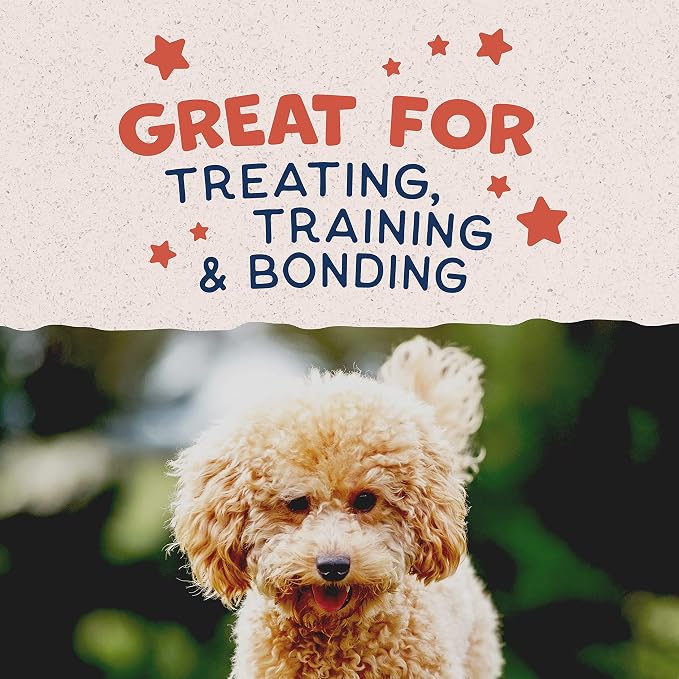 Natural Balance Limited Ingredient Mini-Rewards Salmon Grain-Free Dog Training Treats for Dogs | 5.3 Ounce Canister (Pack of 2)