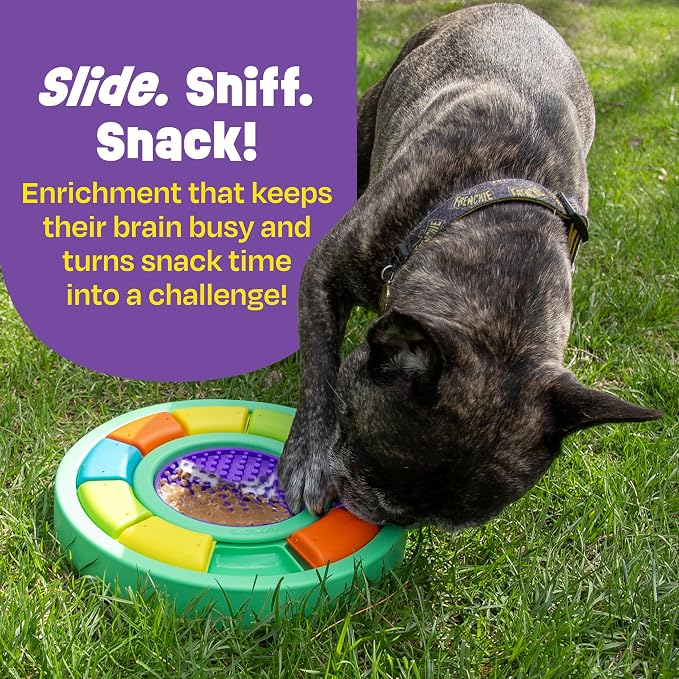 Brightkins Color Wheel Treat Puzzle and Lick Mat
