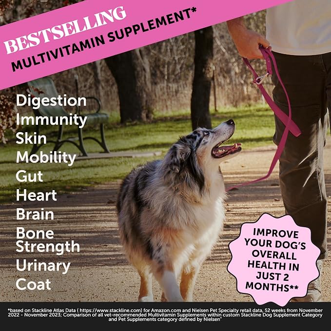Dog Multivitamin + Dental Powder Virtual Bundle for Teeth Cleaning & Plaque Removal, 10 in 1 Vitamins for Health, Heart, and Immune Support