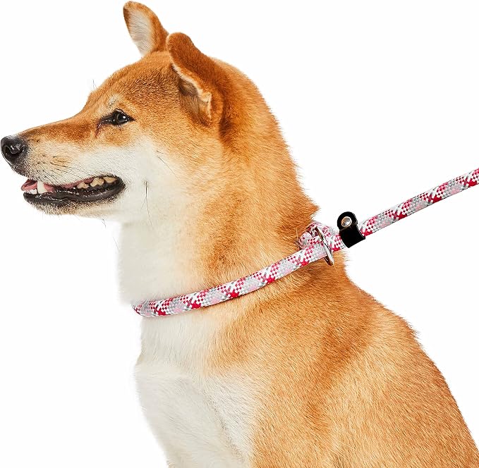 Blueberry Pet Durable Diagonal Striped Collar Leash Training Set with Comfy Neoprene Handle, Pink, 6 ft, Strong Training Leashes for Dogs