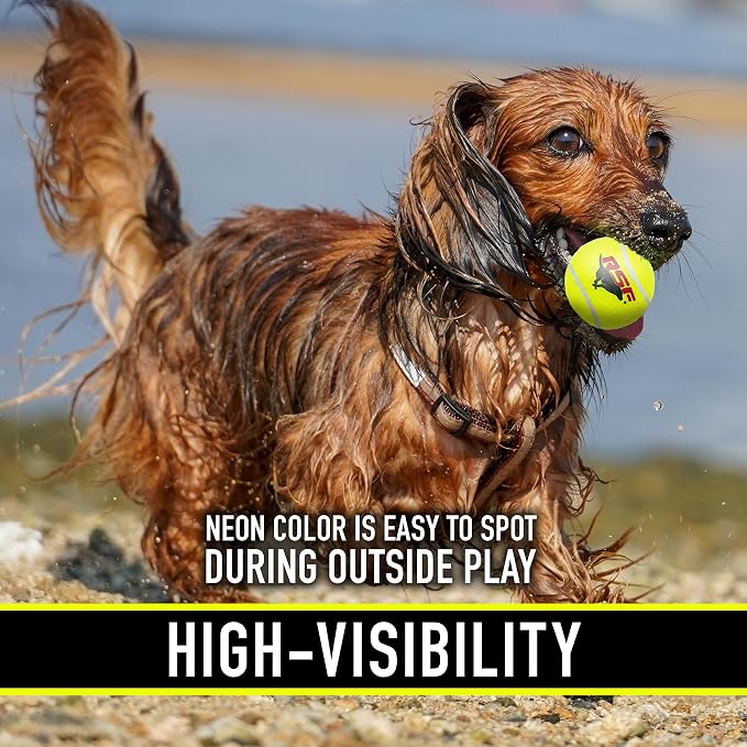 Franklin Sports Ready Set Fetch Mini Squeaker Tennis Ball - 12 Pack | Fun Noise-Making Feature, Tough + Durable Build, Great For Active Playtime, Ideal For Small Breed Pets