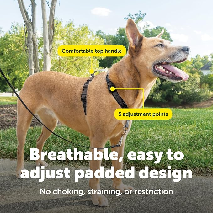PetSafe 3 in 1 No-Pull Dog Harness - Walk, Train or Travel - Helps Prevent Pets from Pulling on Walks - Seatbelt Loop Doubles as Quick Access Handle - Reflective Accents - Medium, Black | Rests on Chest Not Throat to Reduce Pulling, 5 Adjustment Points...