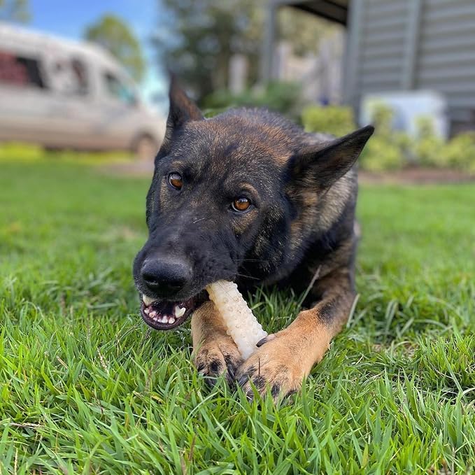 Nylabone Power Chew Textured Bone Dog Chew Toy, Original Flavor, X-Large | Durable dog toys, long lasting, discourages destructive chewing, teeth-cleaning textures, flavor throughout, for dogs 50+ lbs