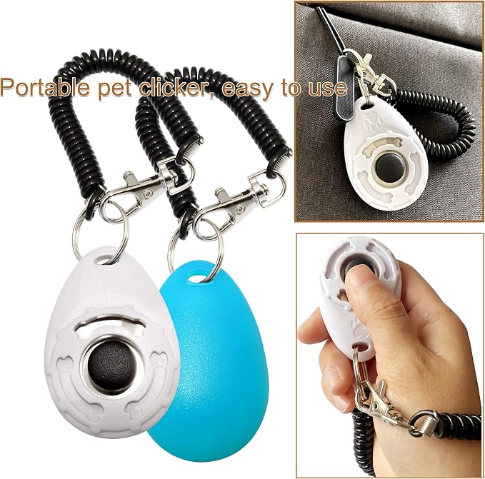 Chadou Training Clicker with Wrist Strap, 2 Pack