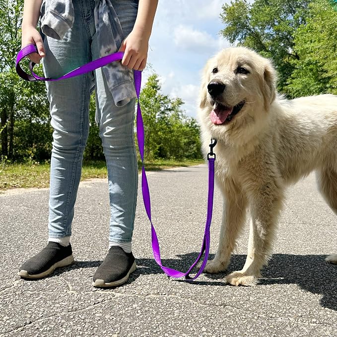 Joytale Dog Leash for Large Dogs that Pull, Double Handle, 5FT, Purple | Traffic Handle for Control, Padded Handle Reduces Hand Strain, Reflective Stitching for Night Safety, Strong Nylon Webbing